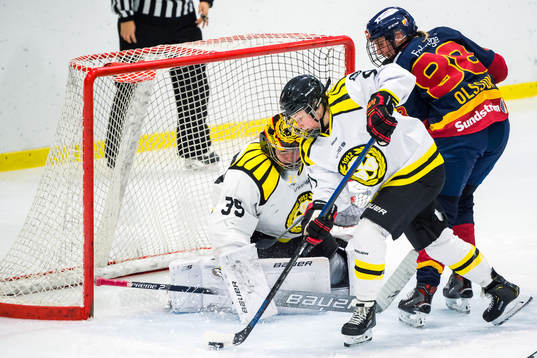 Brynäs målvakt Ellen Jonsson, Brynäs Georgina Farman och