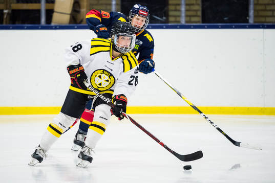 Brynäs Savannah Newton