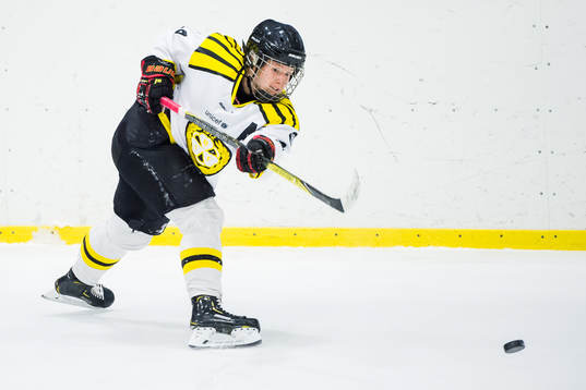 Brynäs Hanna Rylander