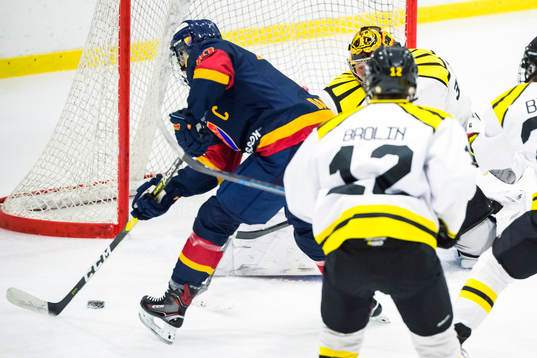 Djurgårdens Andrea Dalen gör 2-0 på Brynäs målvakt