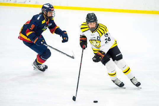 Djurgårdens Josefin Bouveng och Brynäs Erika Grahm