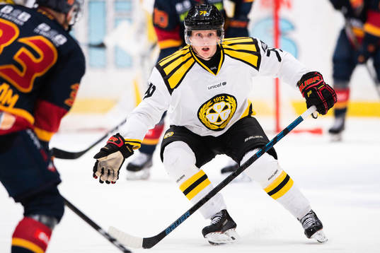 Brynäs Daniel Mannberg täcker för ett skott