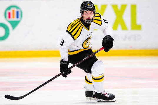 Brynäs Victor Söderström