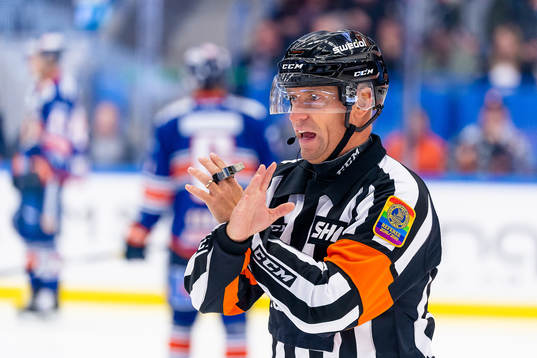 Domare Sören Persson