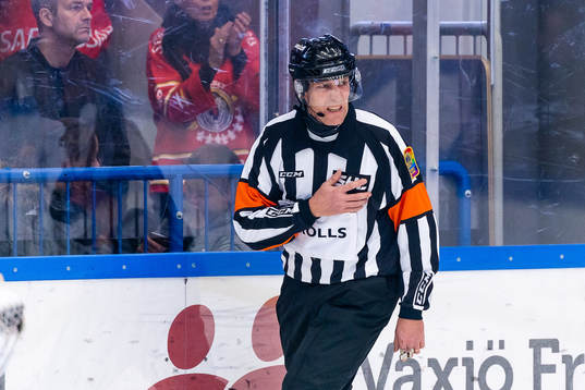 Domare Morgan Johansson grinar illa
