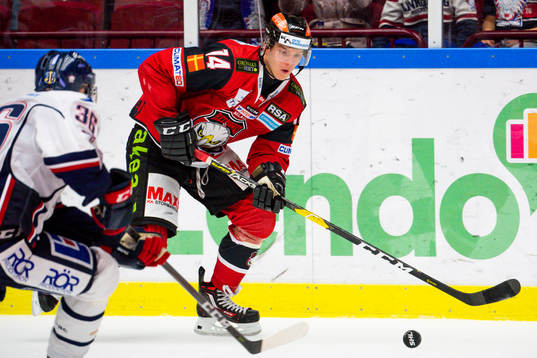 Malmö Redhawks Carl-Johan Lerby