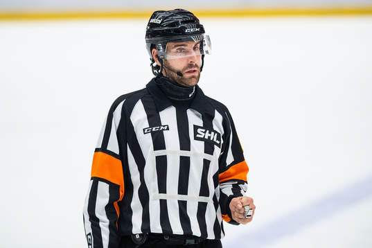 Domare Mikael Sjöqvist