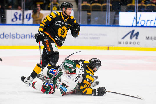 Skellefteås Fredrik Lindgren