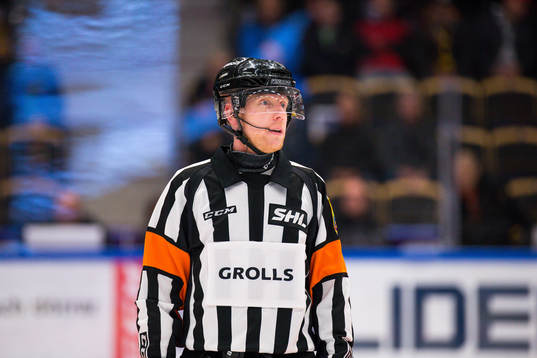 Domare Mikael Holm