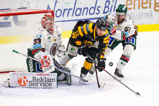 Skellefteås Adam Pettersson