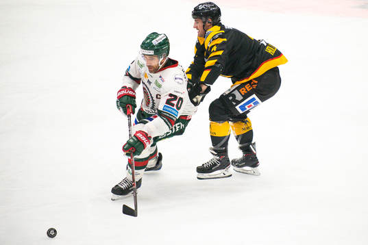 Skellefteås Bud Holloway