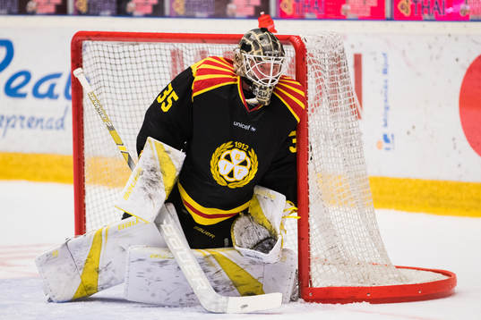 Brynäs målvakt David Rautio