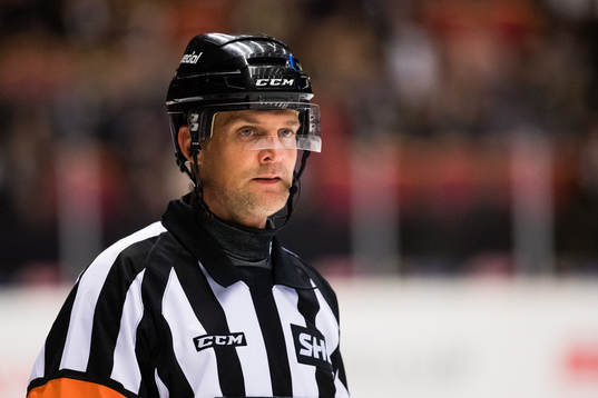 Domare Mikael Nord
