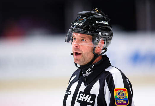 Domare Patrik Sjöberg