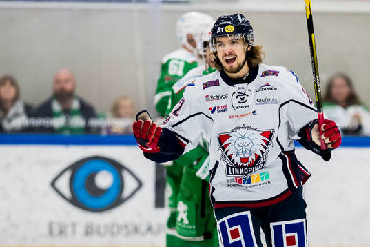 Linköpings Adam Brodecki deppar