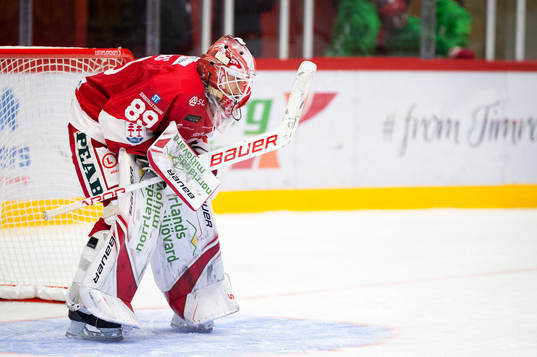 Timrås målvakt Niklas Svedberg