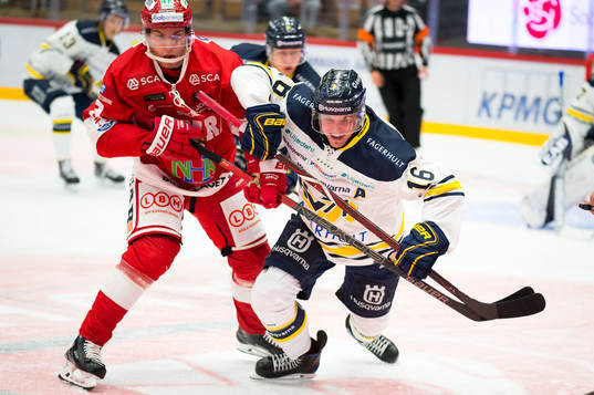 s Markus Ljungh