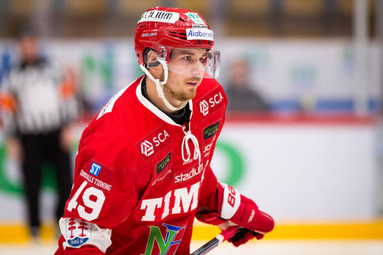 Timrås Sebastian Collberg
