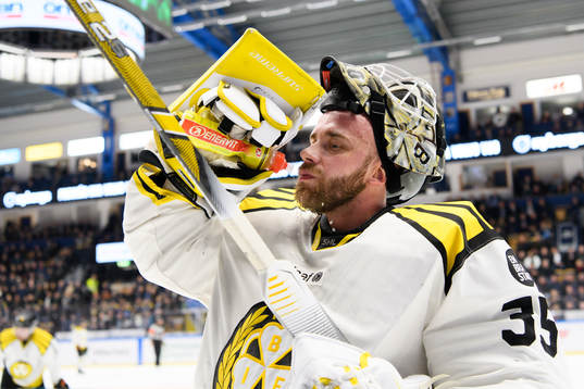 Brynäs målvakt David Rautio