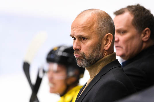 Brynäs tränare Tommy Sjödin
