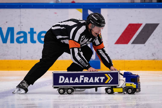 Domare Wolmer Edqvist