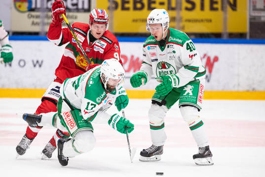Moras Sebastian Hartmann och Rögles Taylor Matson