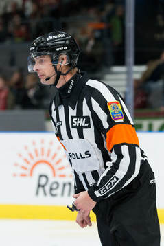 Domare Mikael Andersson