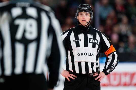 Domare Mikael Andersson