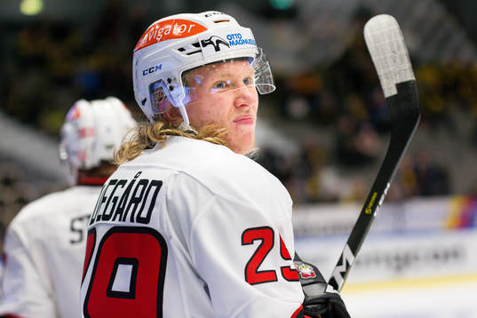 Malmö Redhawks Marcus Sylvegård