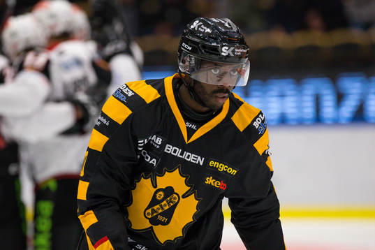 Skellefteås Edwin Hedberg deppar