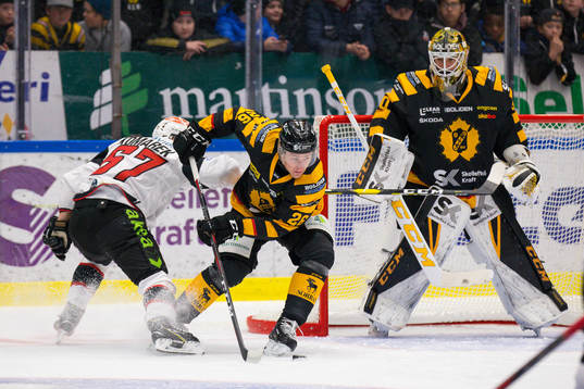Skellefteås Patrik Norén