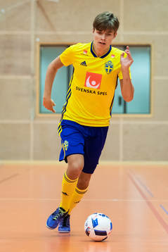 Alex Åman