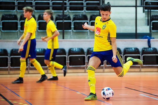 Denis Milovanovic