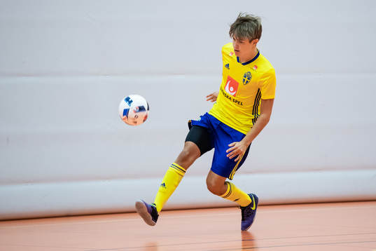 Alex Åman