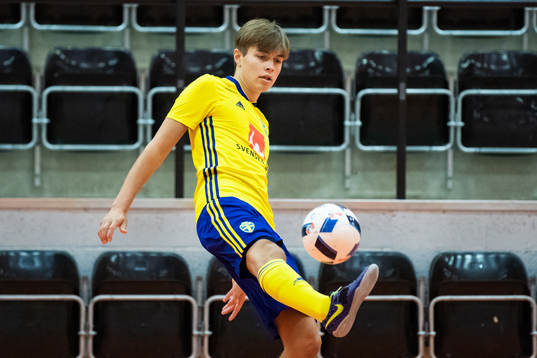 Alex Åman