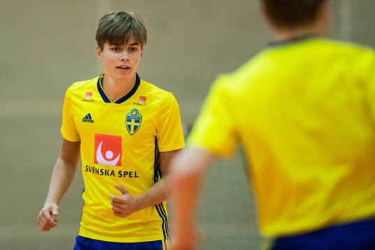 Alex Åman