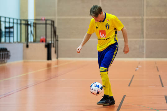 Albin Näslund
