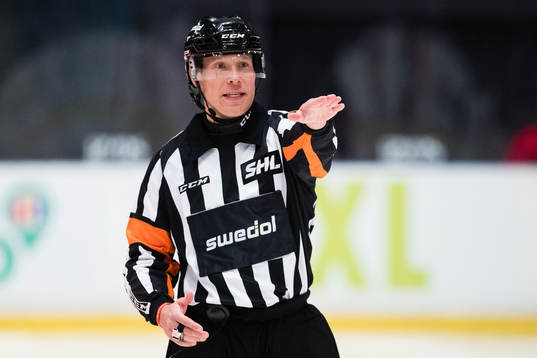Domare Tobias Björk