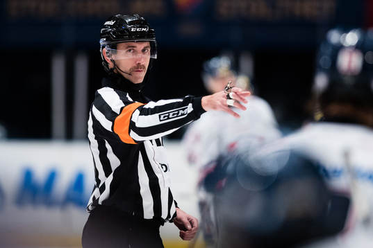 Domare Linus Öhlund