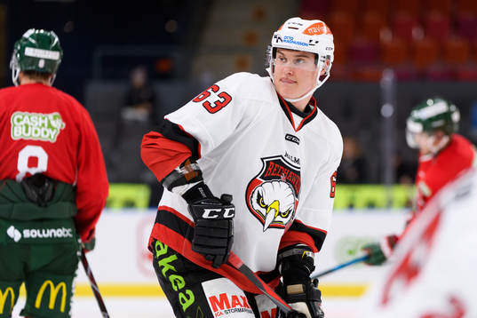 Malmö Redhawks Fredrik Händemark värmer upp innan