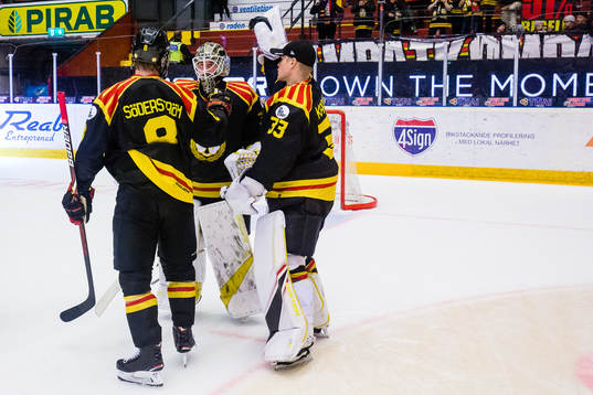 Brynäs målvakt David Rautio jublar med Niclas Andersén