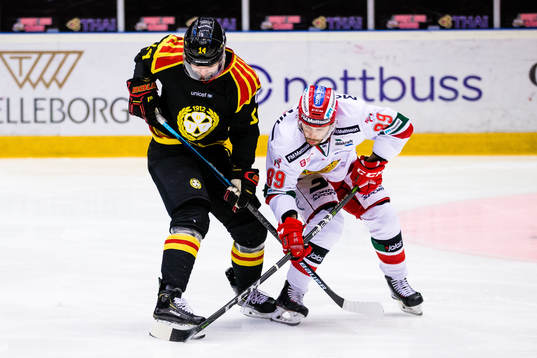 Brynäs Johan Alcén och Moras Ryan Johnston