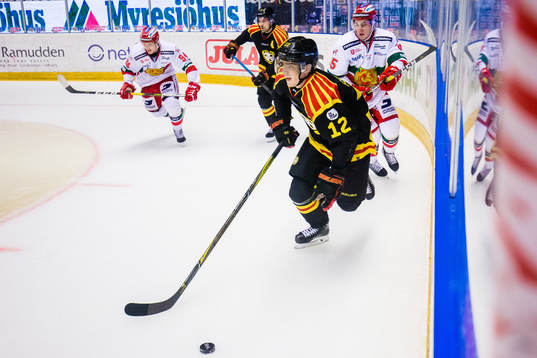 Brynäs Joachim Rohdin