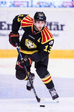 Brynäs Ryan Gunderson
