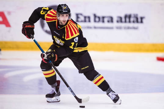 Brynäs Ryan Gunderson