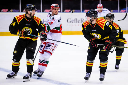Brynäs Johan Alcén (v) och Niclas Andersén (h)  i kamp