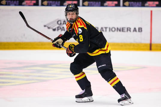 Brynäs Victor Söderström
