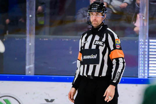 Domare Mikael Sjöqvist