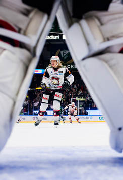 Malmö Redhawks Marcus Sylvegård