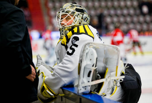 Brynäs målvakt David Rautio